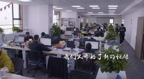 櫻花與家政 重啟中的上海生活圖景